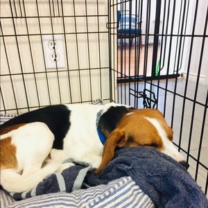 Meet your Posher, Corral